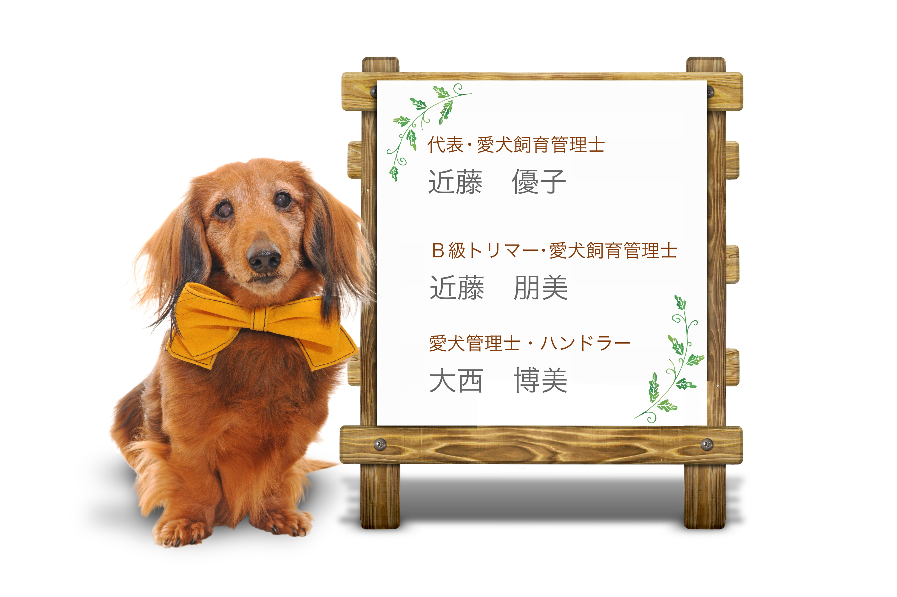 代表・愛犬飼育管理士 近藤 優子| B級トリーマー・愛犬飼育管理士 近藤 朋美| 愛犬管理士・ハンドラー 大西 博美